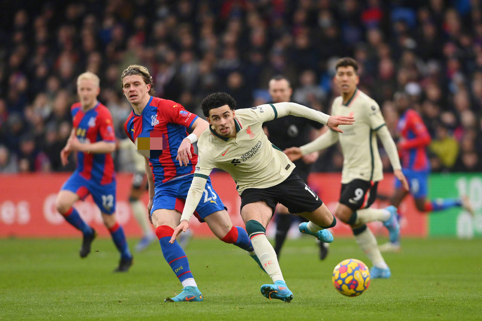 对着他们的 对着他们的